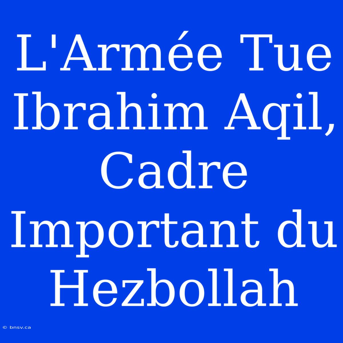 L'Armée Tue Ibrahim Aqil, Cadre Important Du Hezbollah