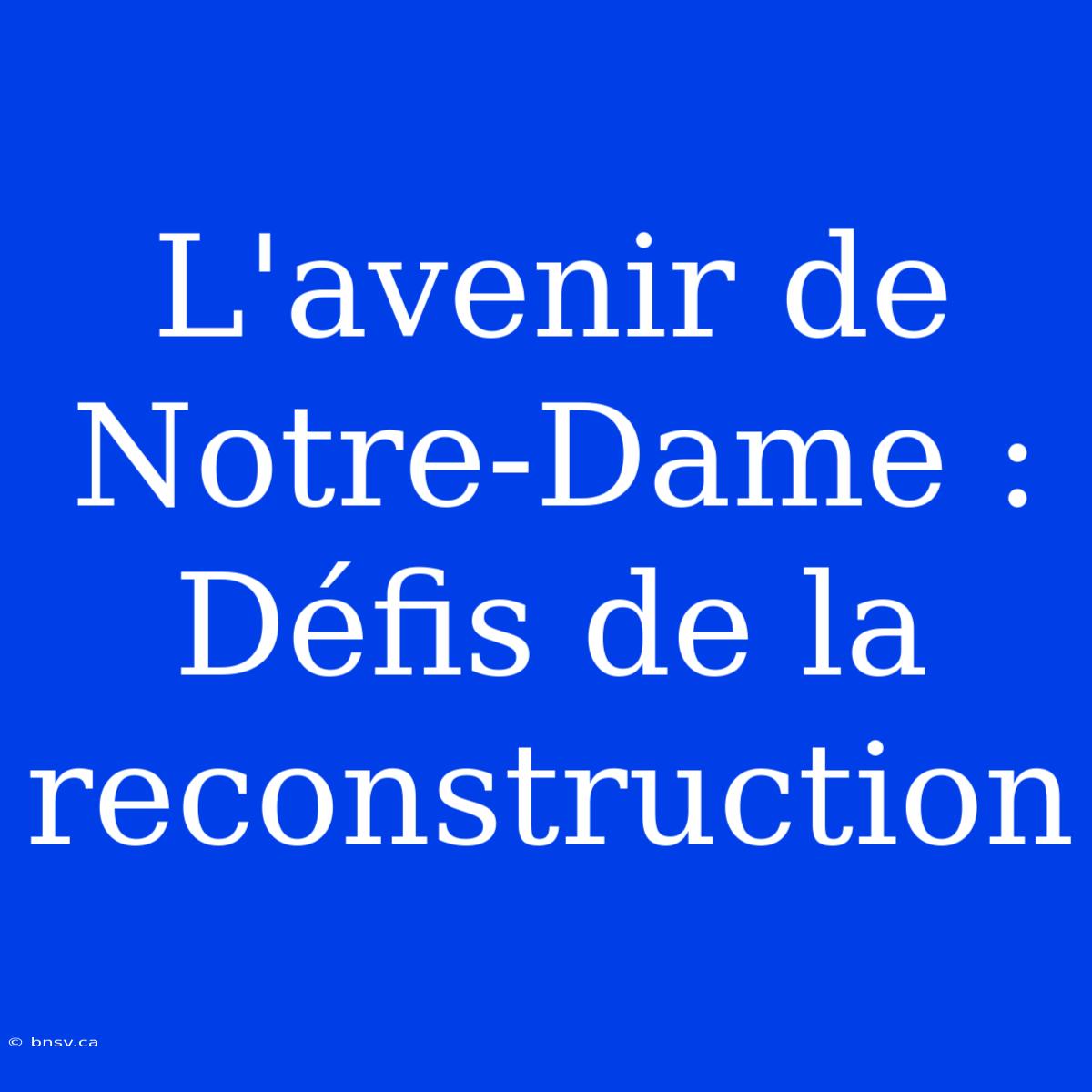 L'avenir De Notre-Dame : Défis De La Reconstruction