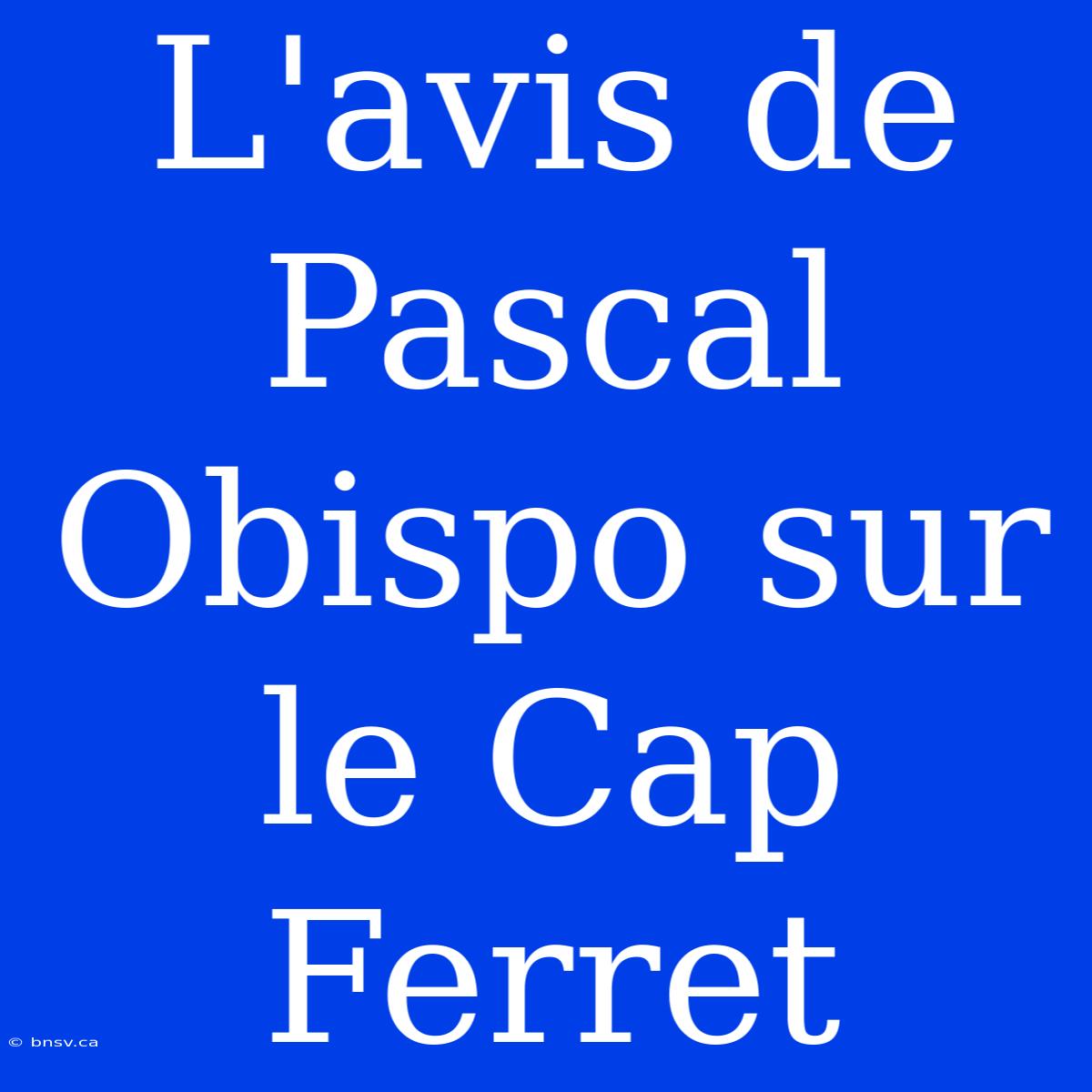 L'avis De Pascal Obispo Sur Le Cap Ferret