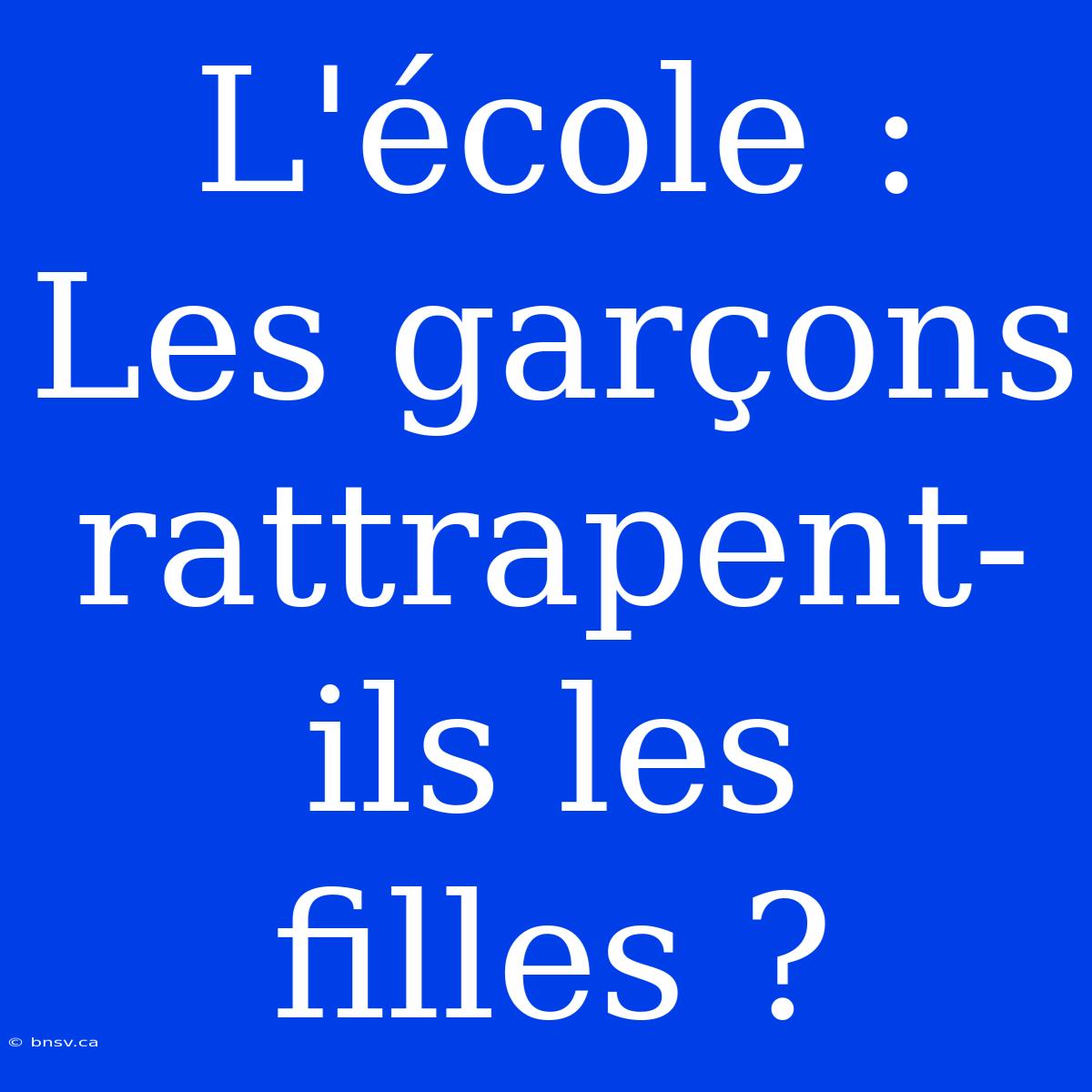 L'école : Les Garçons Rattrapent-ils Les Filles ?