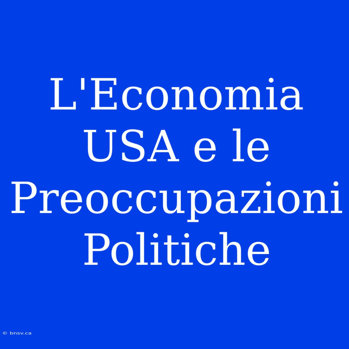 L'Economia USA E Le Preoccupazioni Politiche