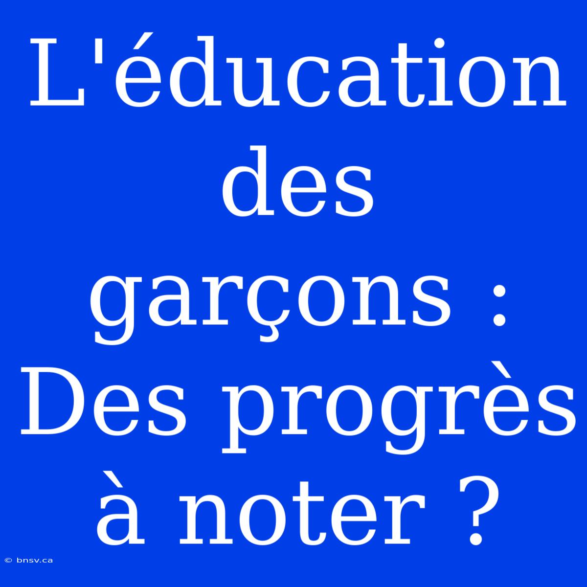 L'éducation Des Garçons : Des Progrès À Noter ?