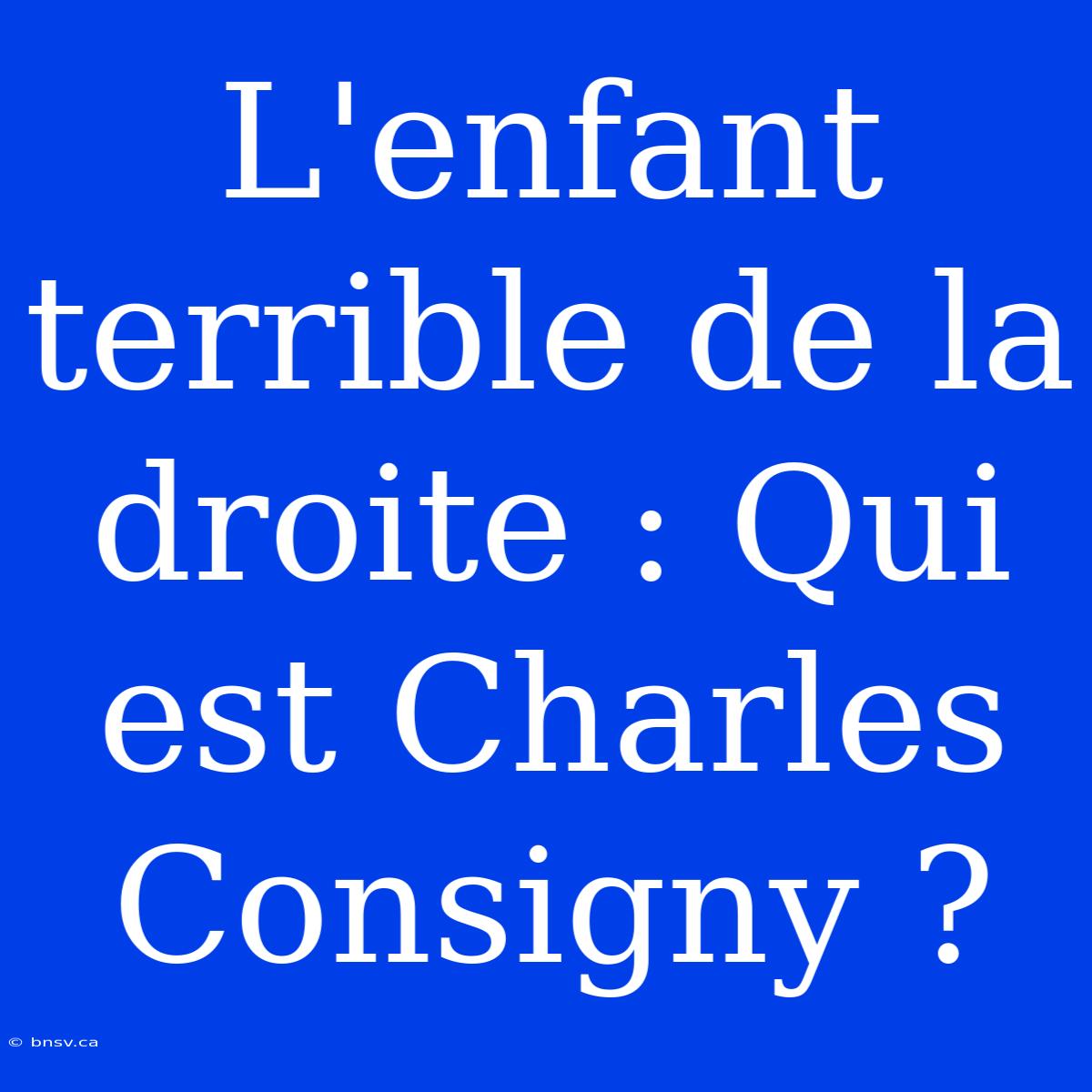 L'enfant Terrible De La Droite : Qui Est Charles Consigny ?