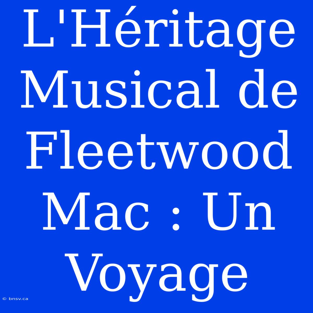 L'Héritage Musical De Fleetwood Mac : Un Voyage