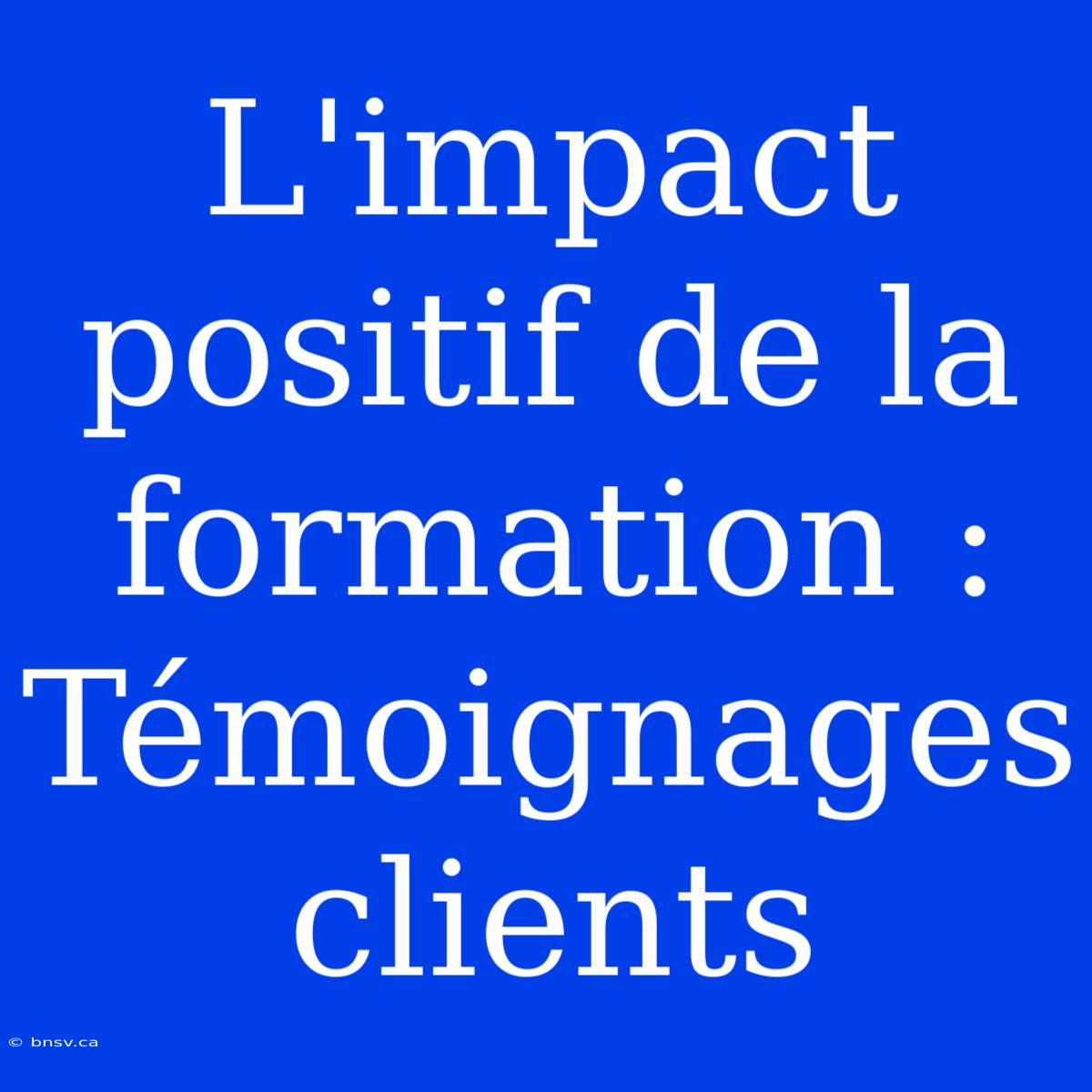 L'impact Positif De La Formation : Témoignages Clients