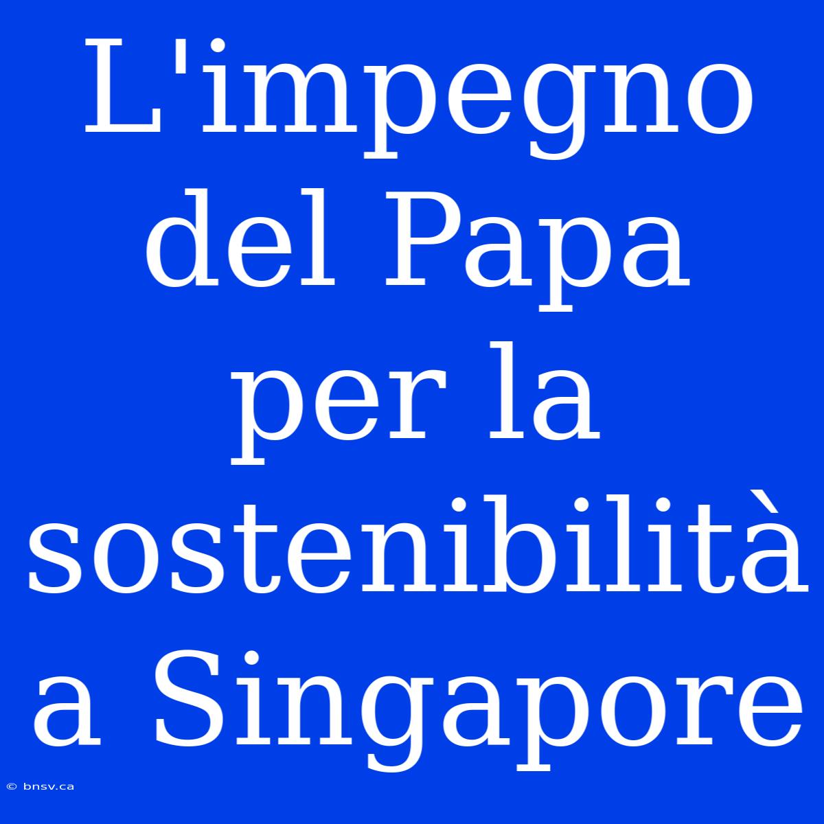 L'impegno Del Papa Per La Sostenibilità A Singapore