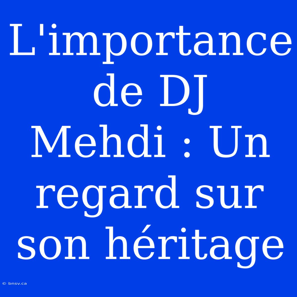 L'importance De DJ Mehdi : Un Regard Sur Son Héritage