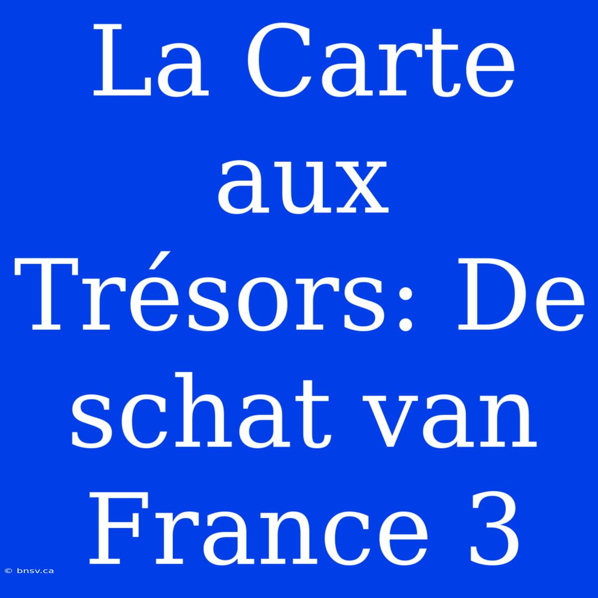 La Carte Aux Trésors: De Schat Van France 3