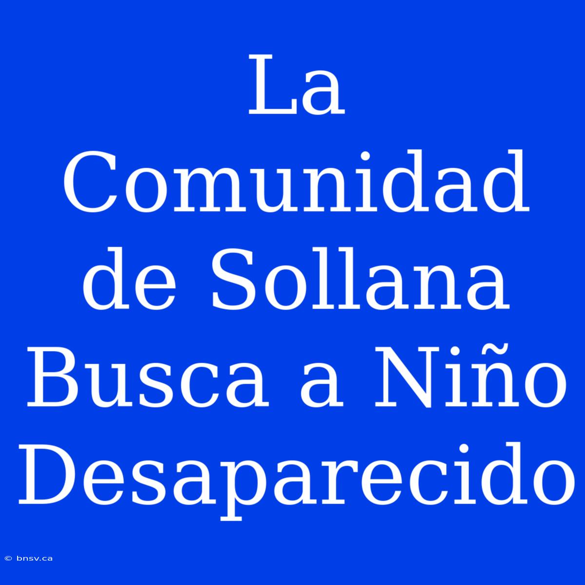 La Comunidad De Sollana Busca A Niño Desaparecido