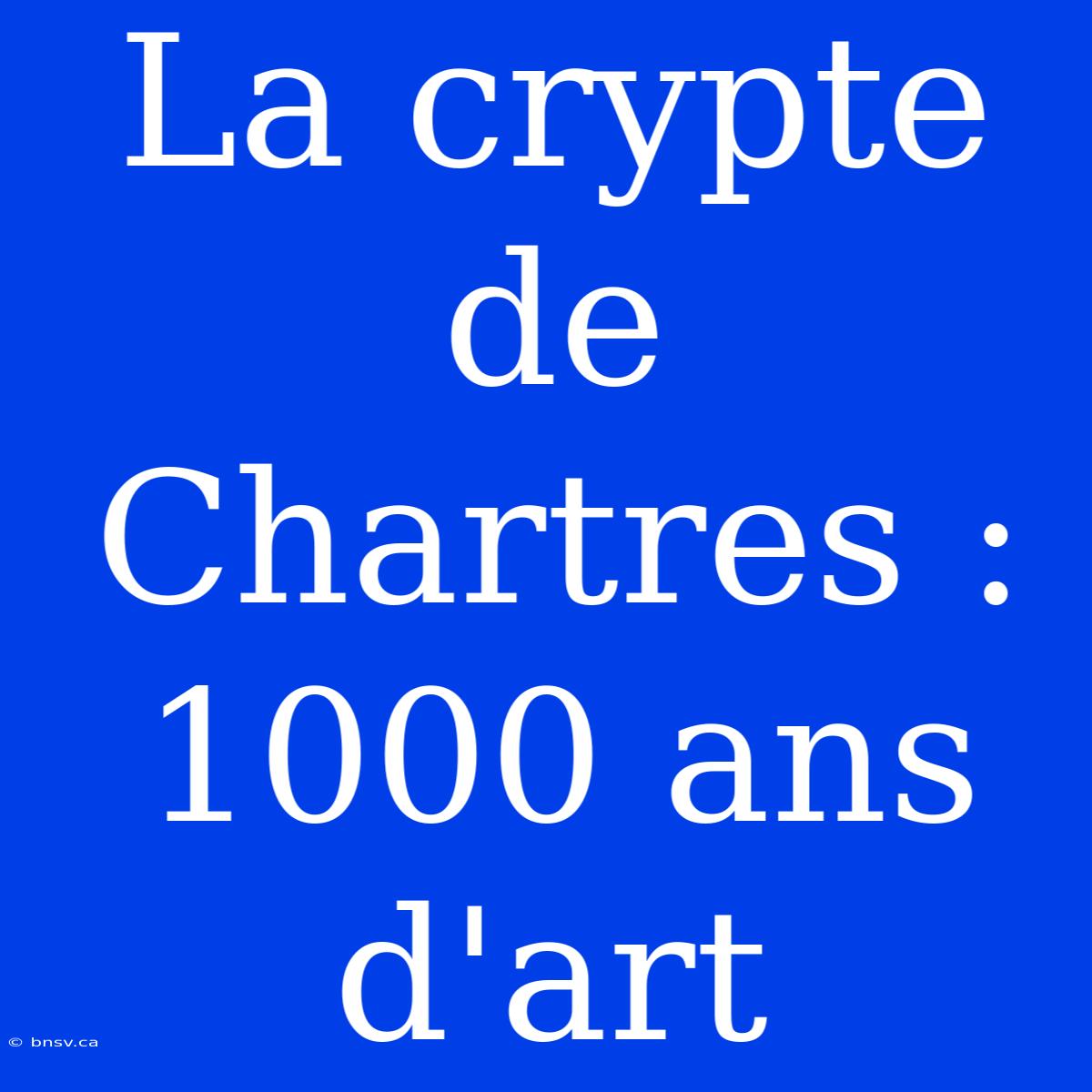 La Crypte De Chartres : 1000 Ans D'art