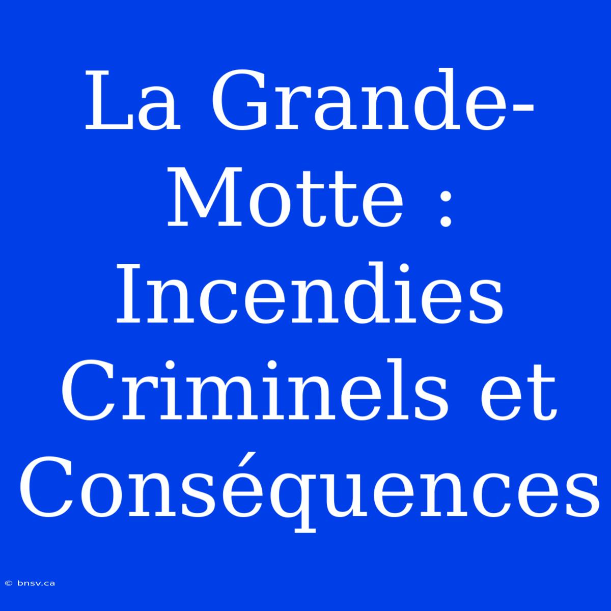 La Grande-Motte : Incendies Criminels Et Conséquences