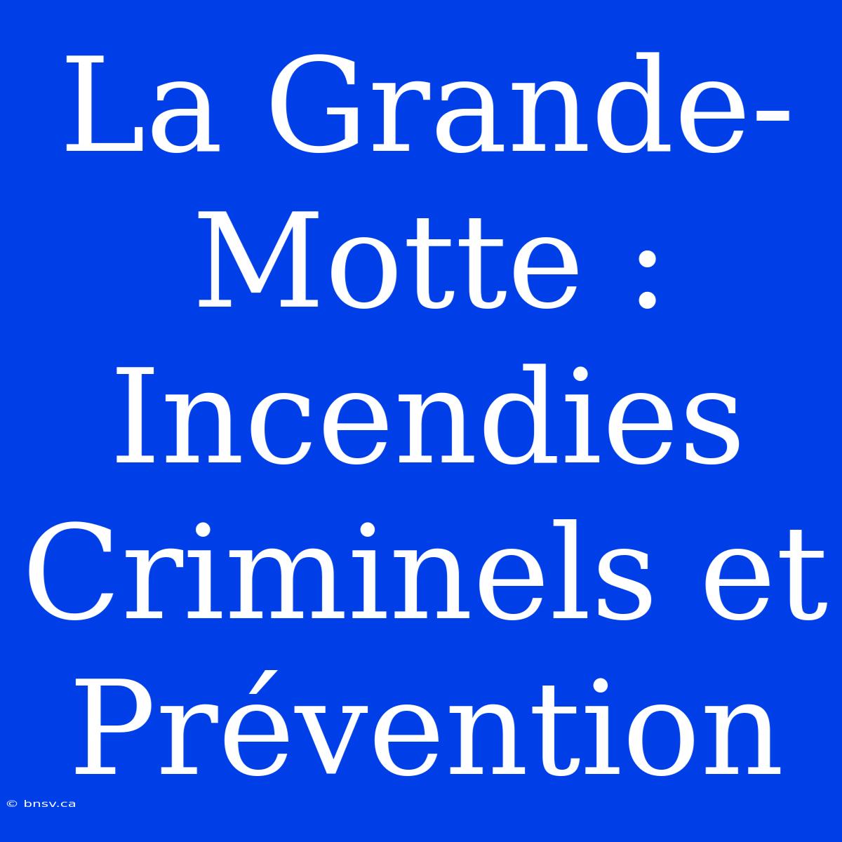 La Grande-Motte : Incendies Criminels Et Prévention