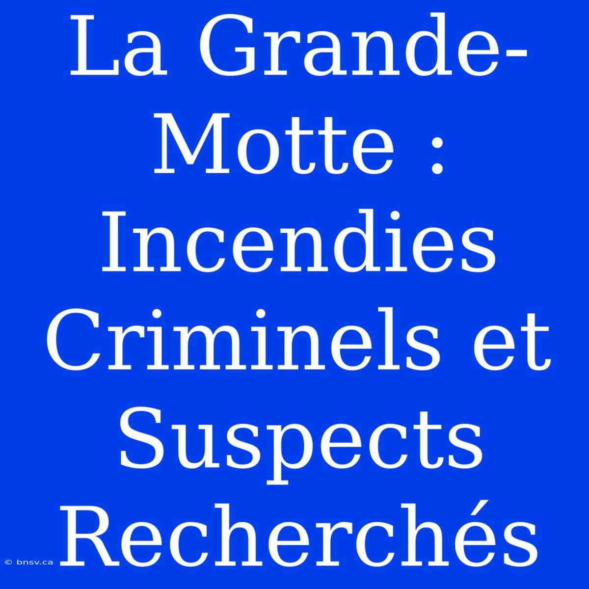 La Grande-Motte : Incendies Criminels Et Suspects Recherchés