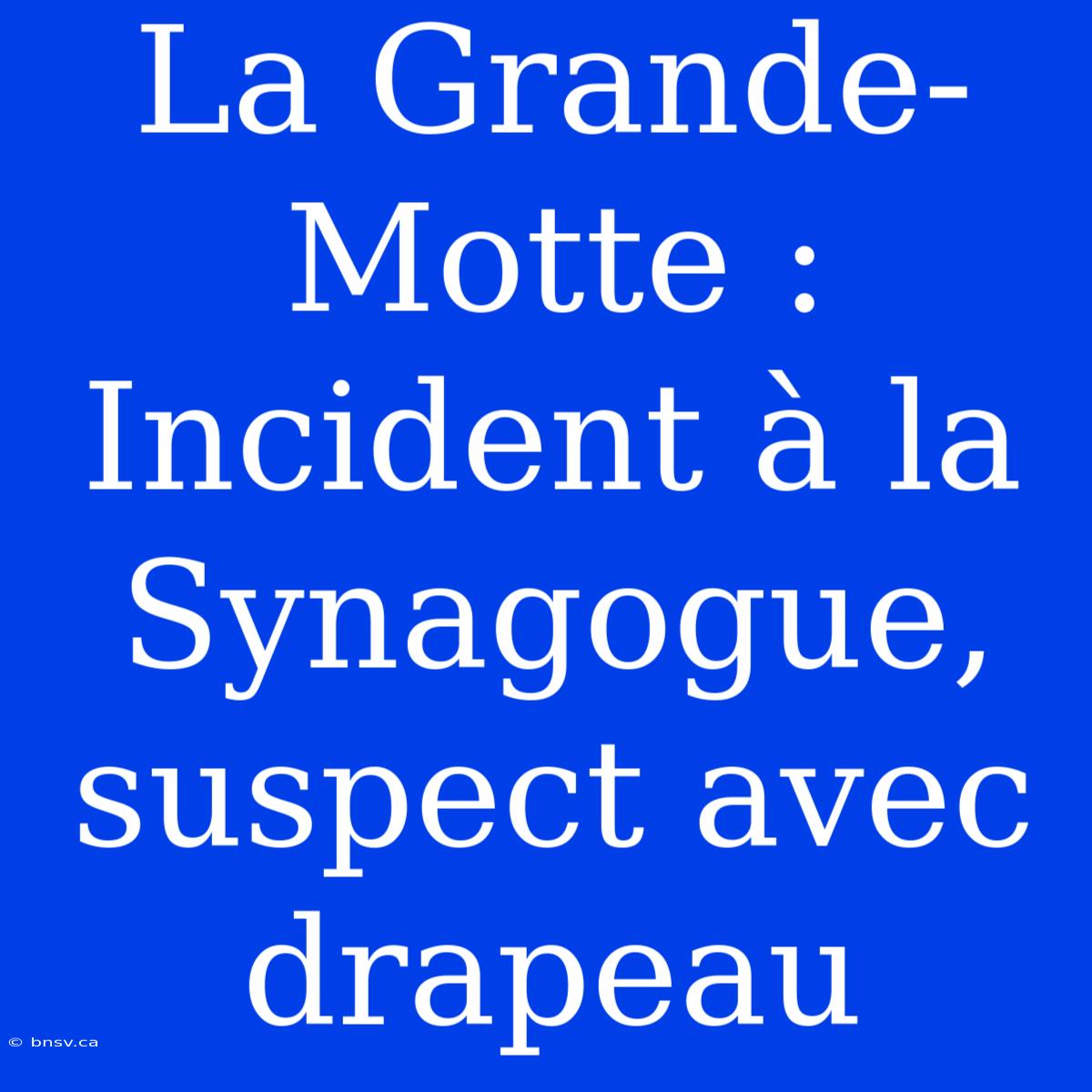 La Grande-Motte : Incident À La Synagogue, Suspect Avec Drapeau