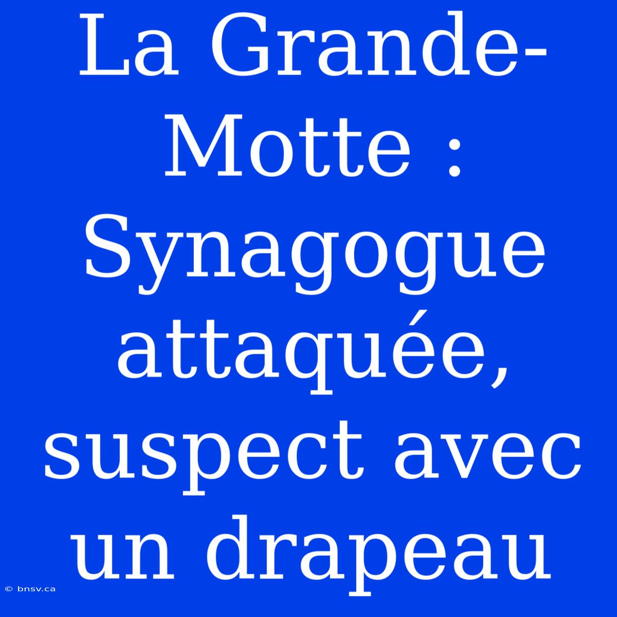 La Grande-Motte : Synagogue Attaquée, Suspect Avec Un Drapeau