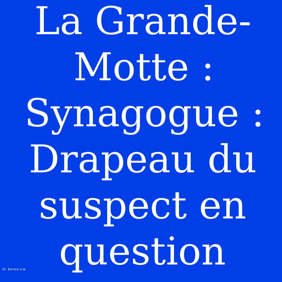 La Grande-Motte : Synagogue : Drapeau Du Suspect En Question