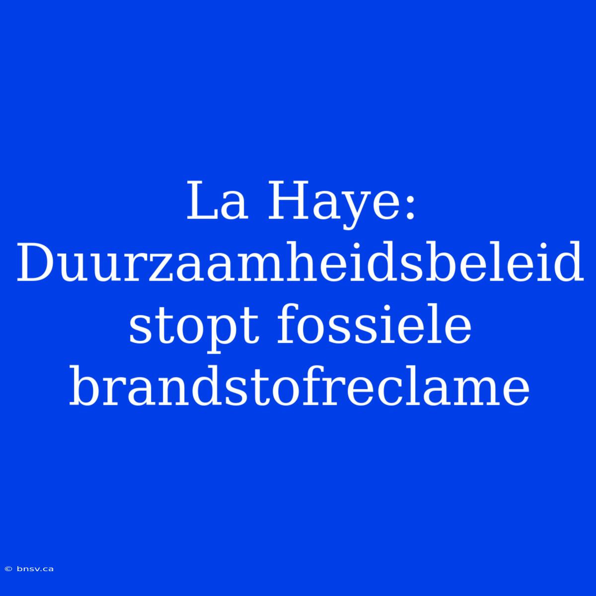 La Haye: Duurzaamheidsbeleid Stopt Fossiele Brandstofreclame