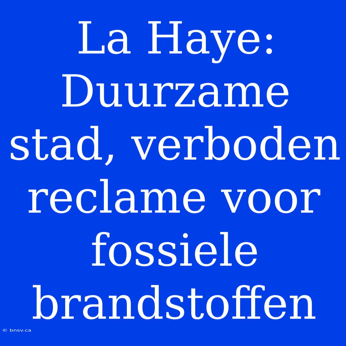 La Haye: Duurzame Stad, Verboden Reclame Voor Fossiele Brandstoffen