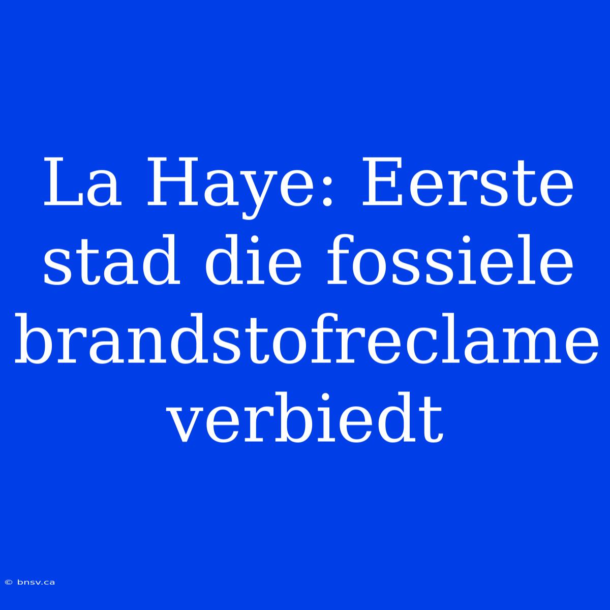 La Haye: Eerste Stad Die Fossiele Brandstofreclame Verbiedt