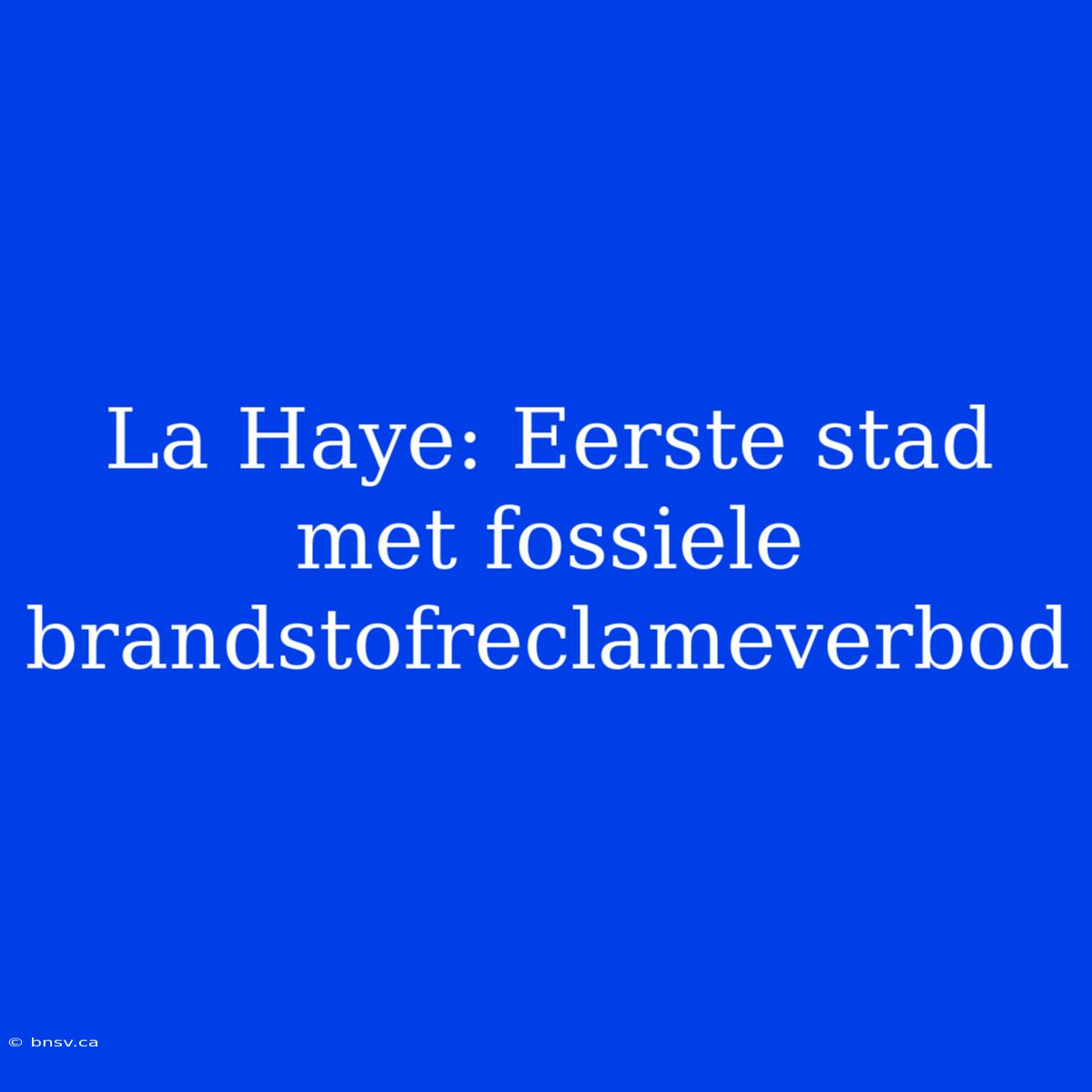 La Haye: Eerste Stad Met Fossiele Brandstofreclameverbod