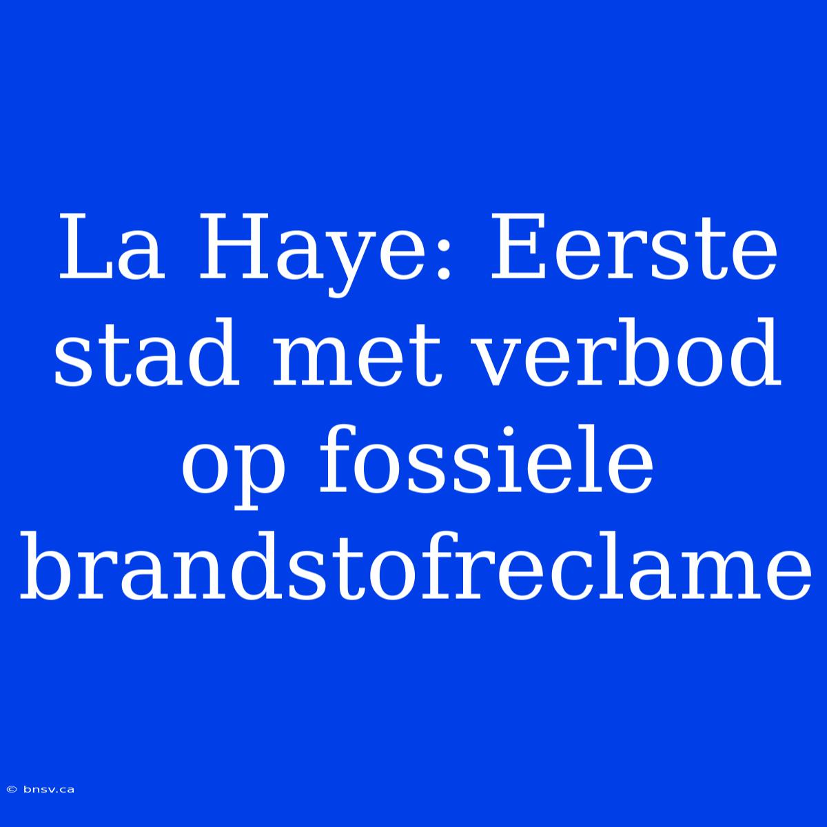 La Haye: Eerste Stad Met Verbod Op Fossiele Brandstofreclame