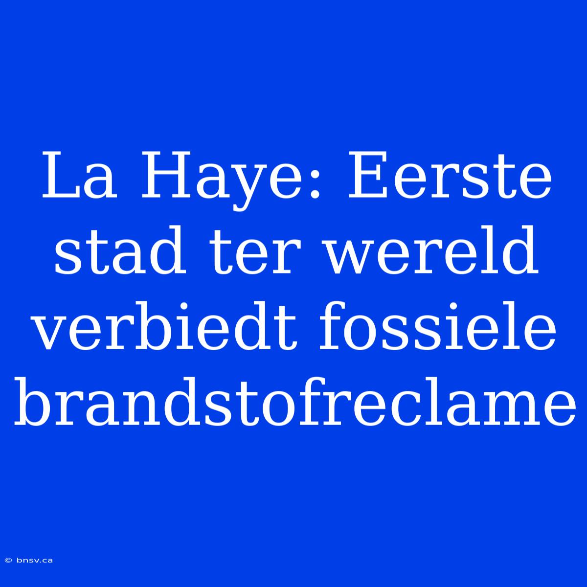 La Haye: Eerste Stad Ter Wereld Verbiedt Fossiele Brandstofreclame