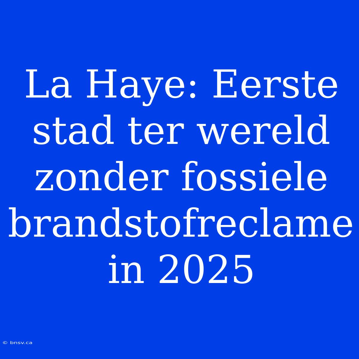 La Haye: Eerste Stad Ter Wereld Zonder Fossiele Brandstofreclame In 2025