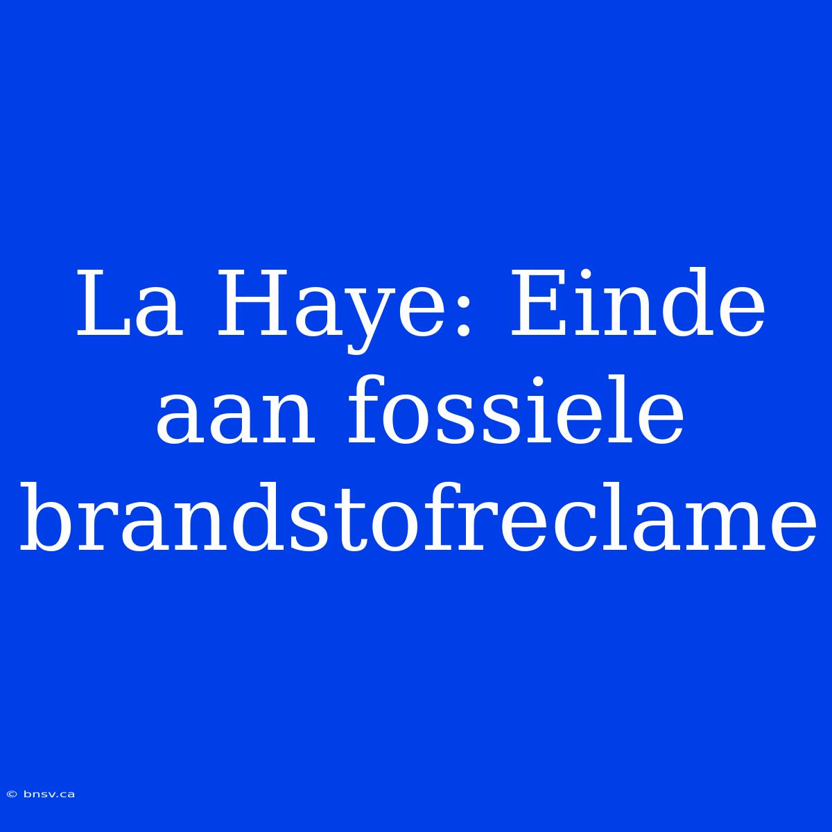 La Haye: Einde Aan Fossiele Brandstofreclame