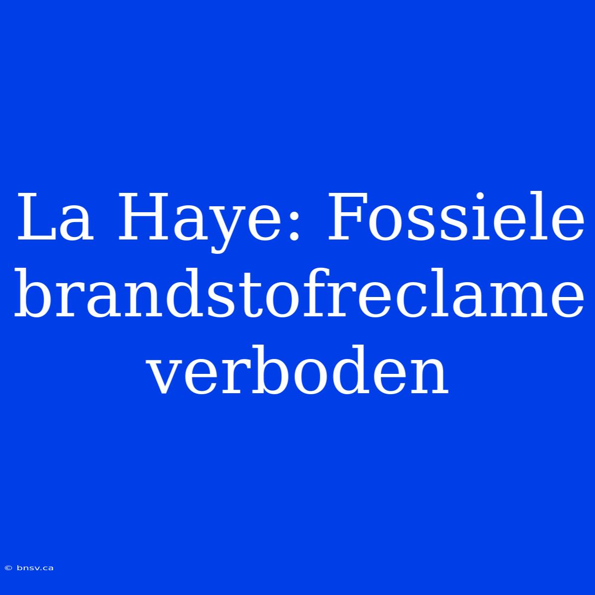 La Haye: Fossiele Brandstofreclame Verboden