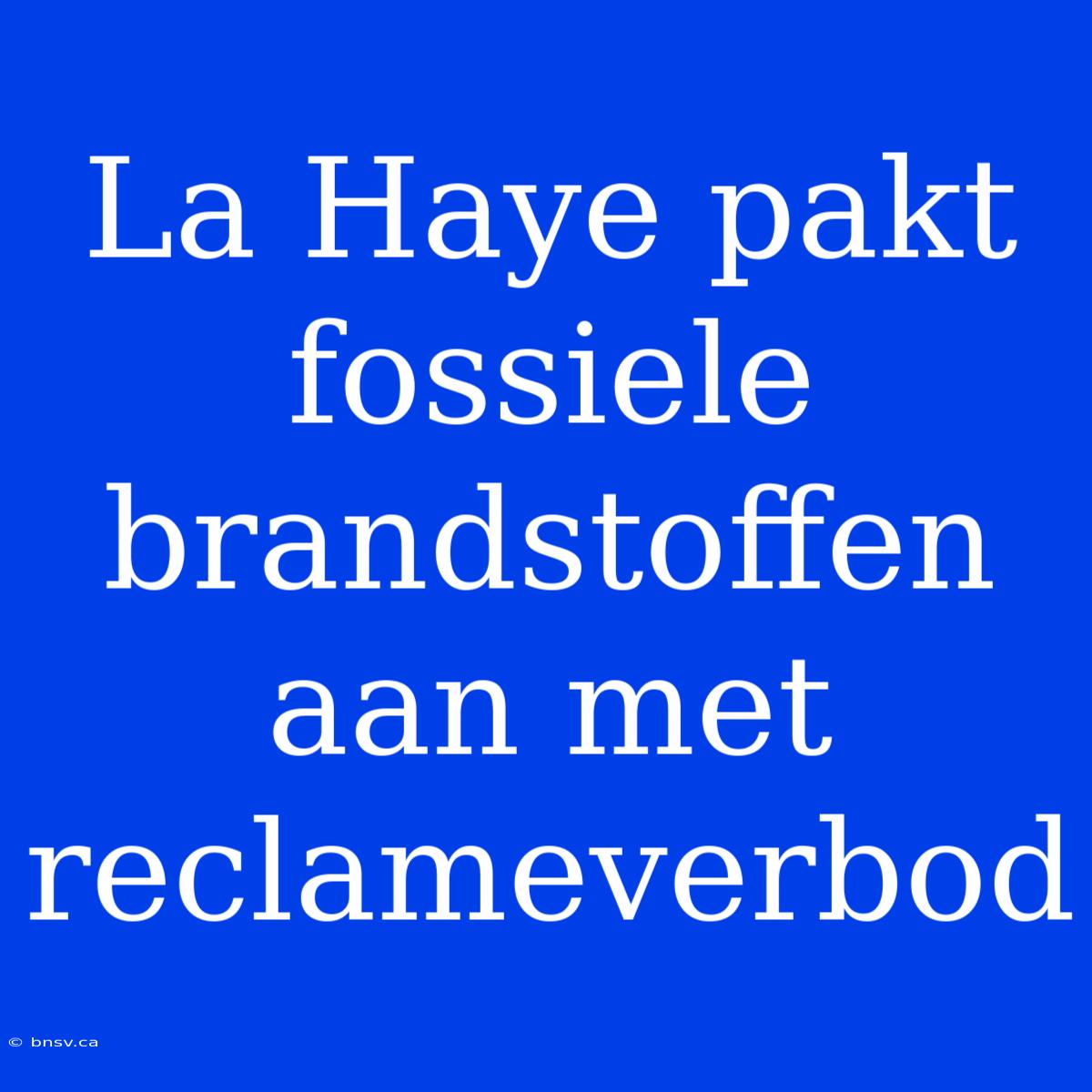 La Haye Pakt Fossiele Brandstoffen Aan Met Reclameverbod