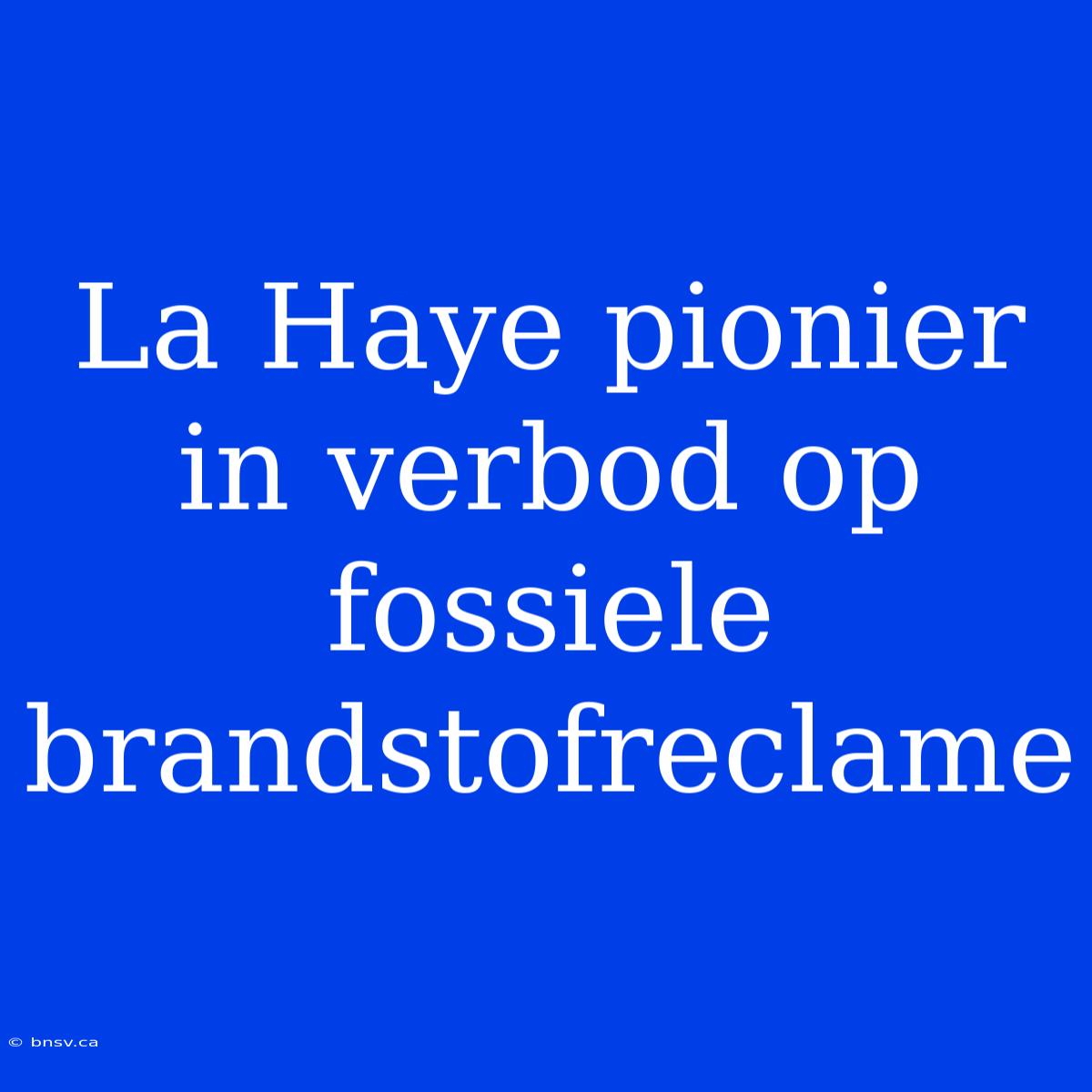 La Haye Pionier In Verbod Op Fossiele Brandstofreclame