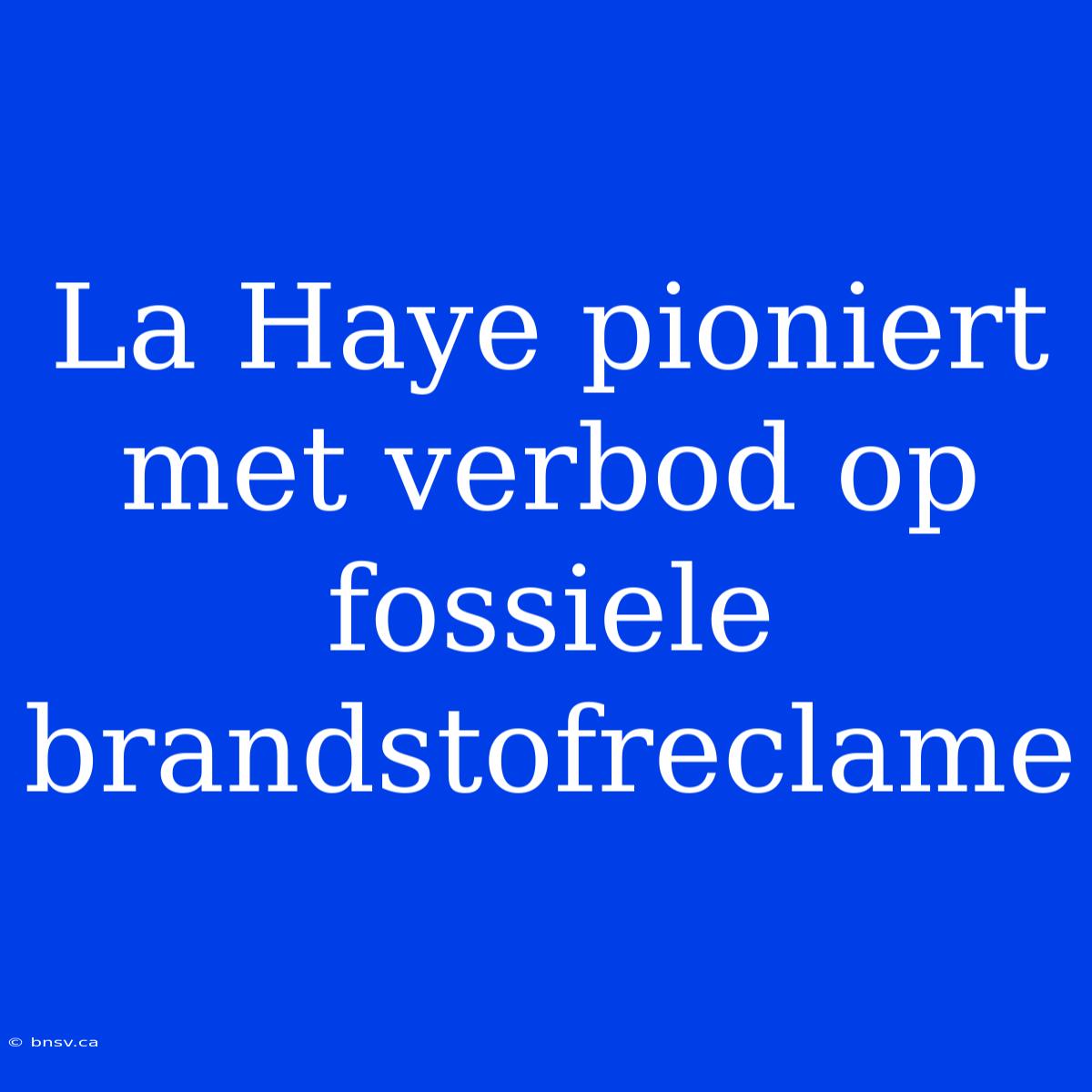 La Haye Pioniert Met Verbod Op Fossiele Brandstofreclame