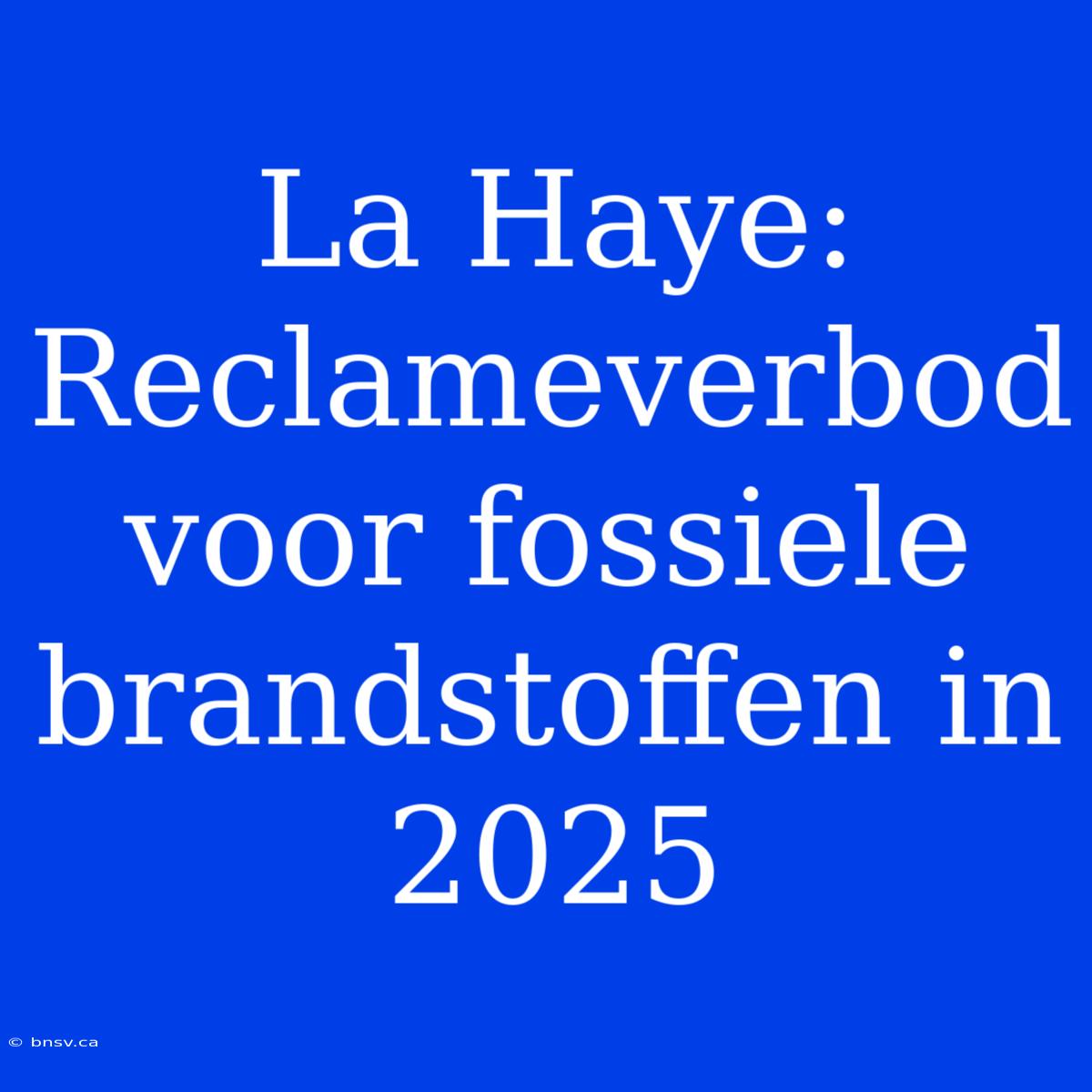 La Haye: Reclameverbod Voor Fossiele Brandstoffen In 2025