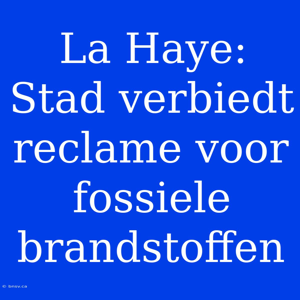 La Haye: Stad Verbiedt Reclame Voor Fossiele Brandstoffen