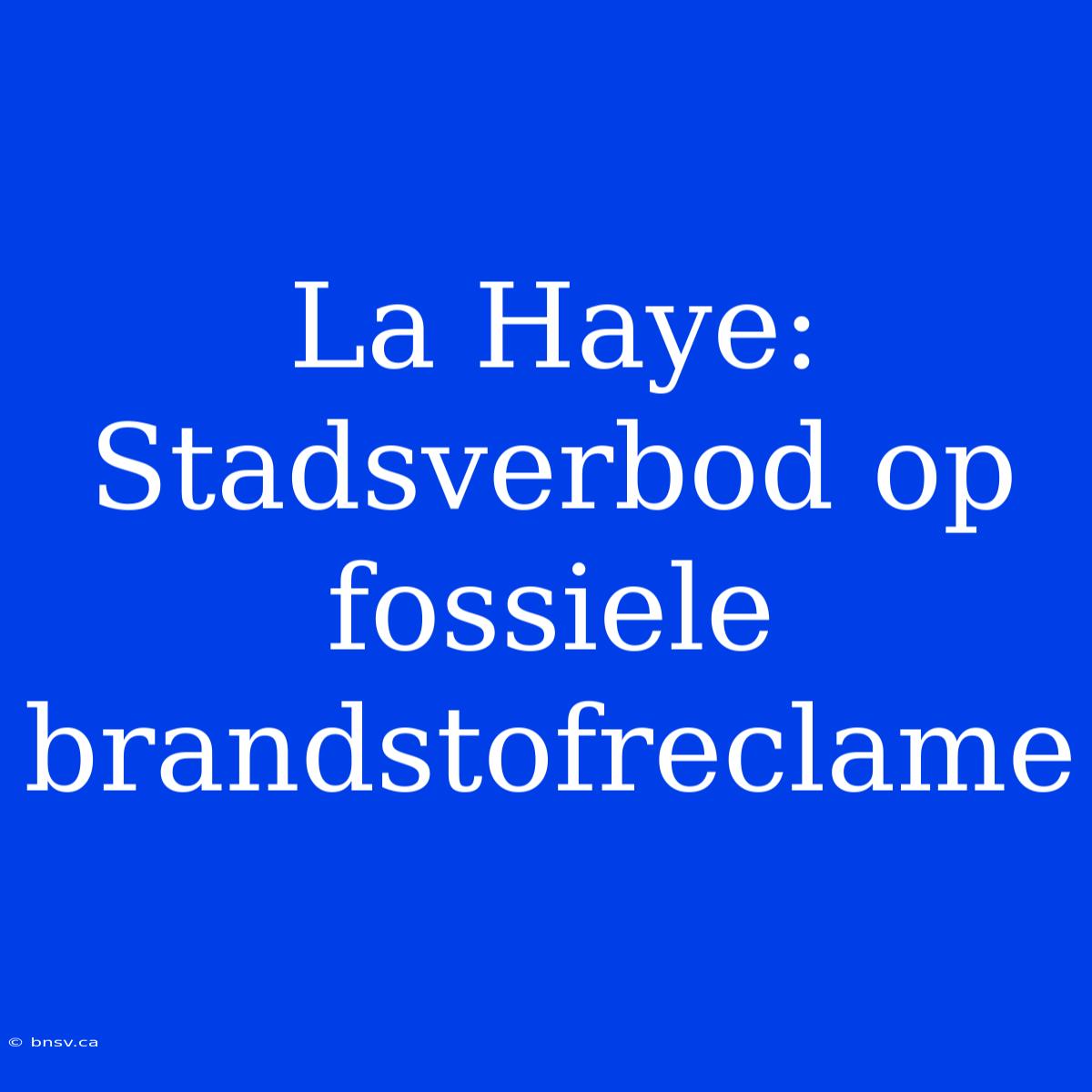 La Haye: Stadsverbod Op Fossiele Brandstofreclame