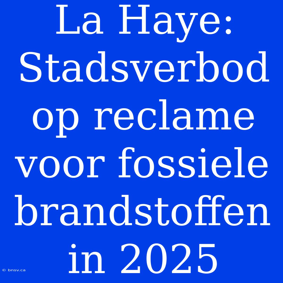 La Haye: Stadsverbod Op Reclame Voor Fossiele Brandstoffen In 2025