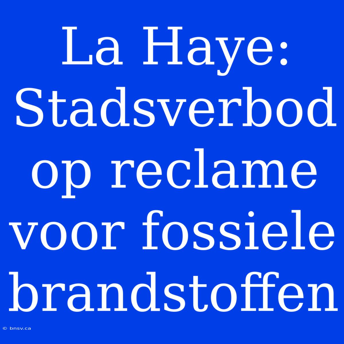 La Haye: Stadsverbod Op Reclame Voor Fossiele Brandstoffen