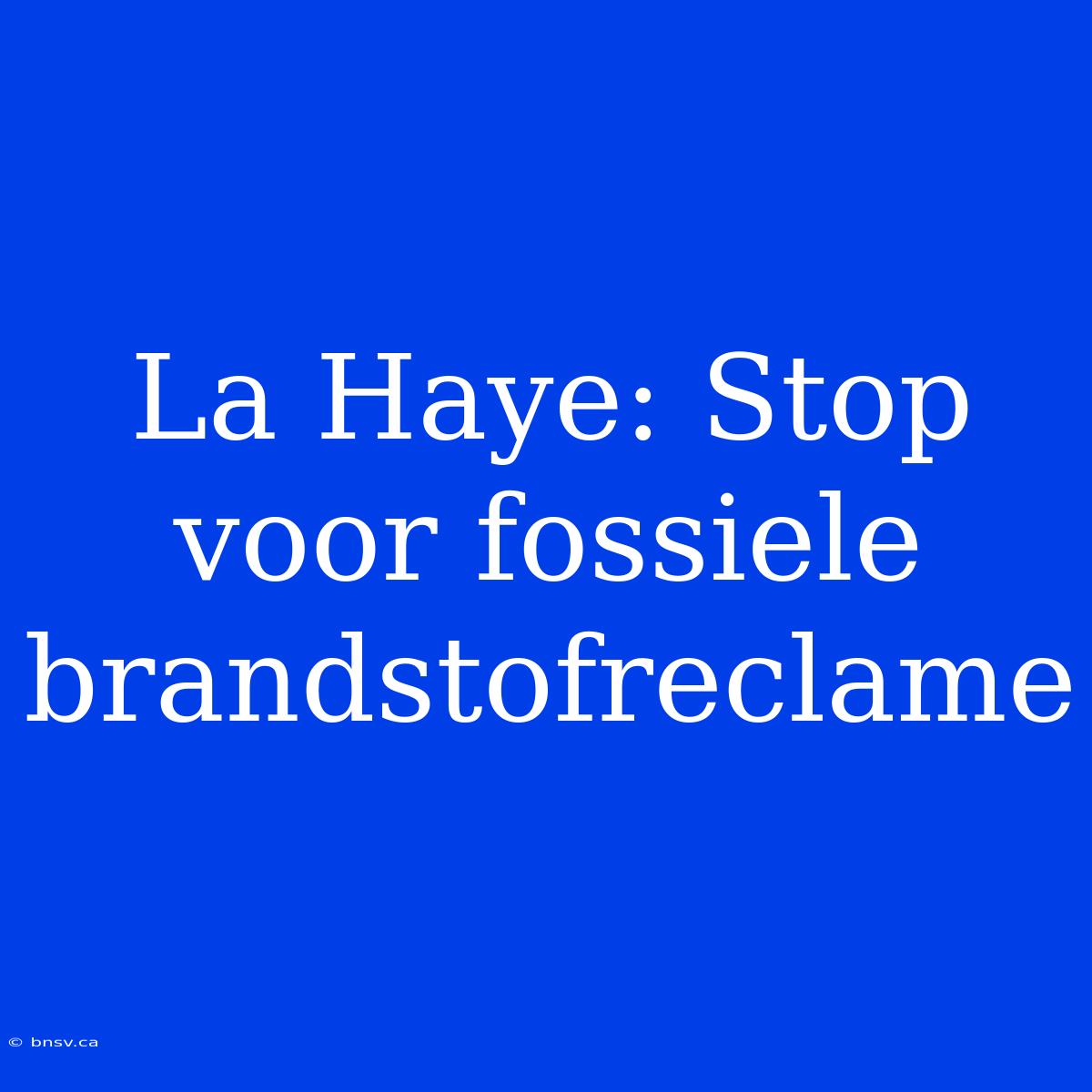 La Haye: Stop Voor Fossiele Brandstofreclame