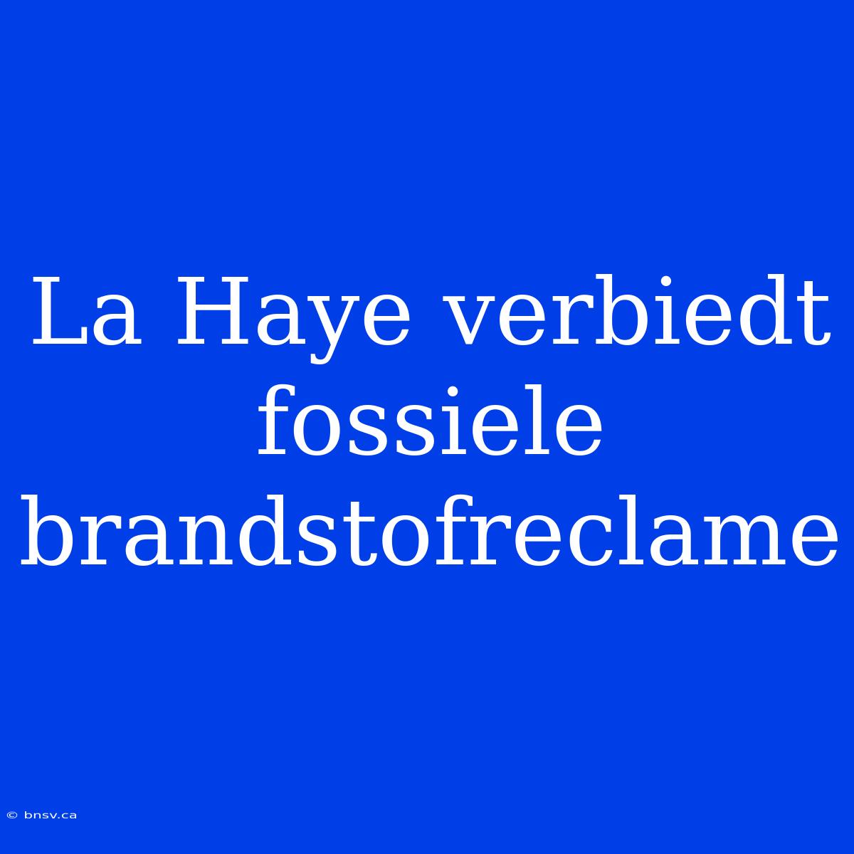 La Haye Verbiedt Fossiele Brandstofreclame