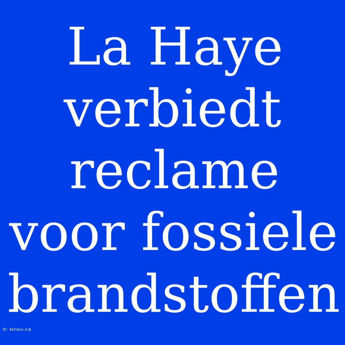 La Haye Verbiedt Reclame Voor Fossiele Brandstoffen