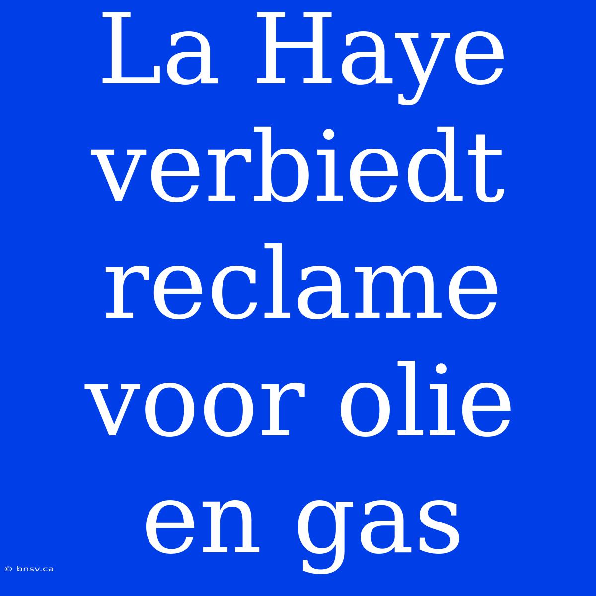 La Haye Verbiedt Reclame Voor Olie En Gas