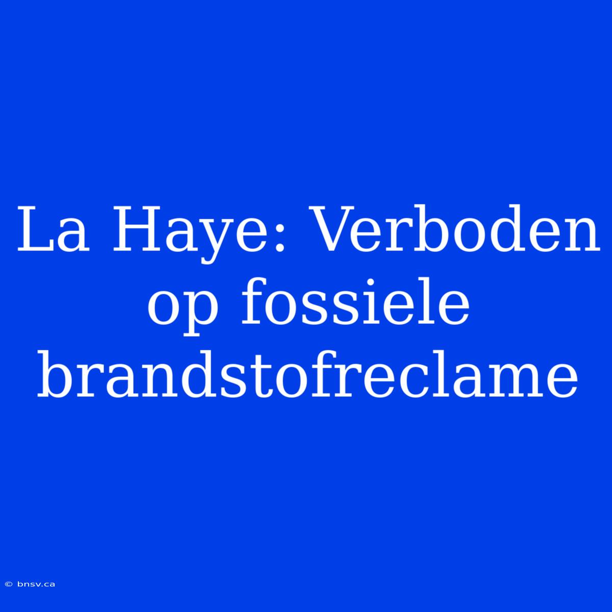 La Haye: Verboden Op Fossiele Brandstofreclame