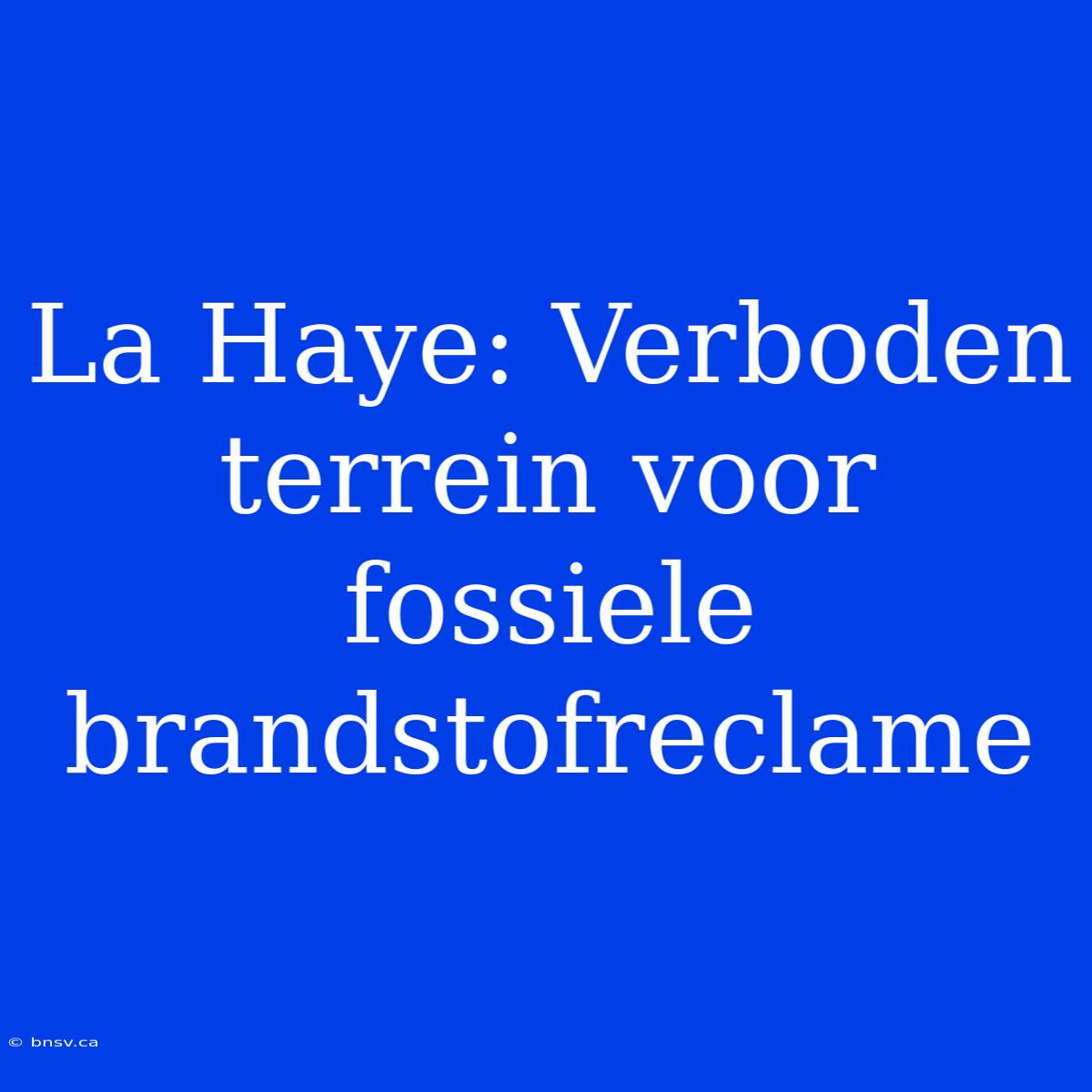 La Haye: Verboden Terrein Voor Fossiele Brandstofreclame