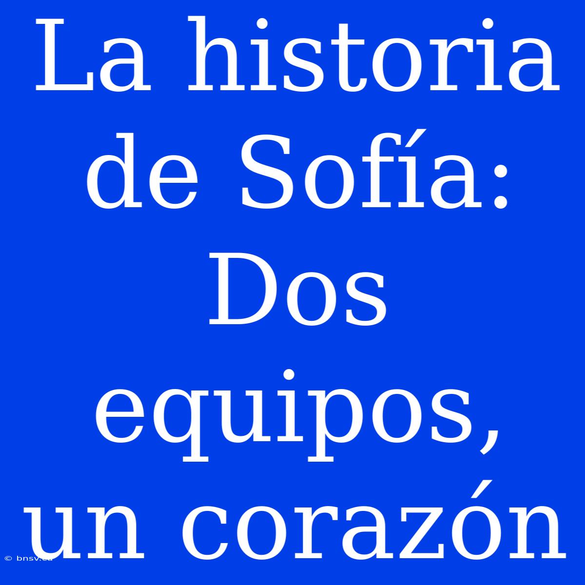 La Historia De Sofía: Dos Equipos, Un Corazón