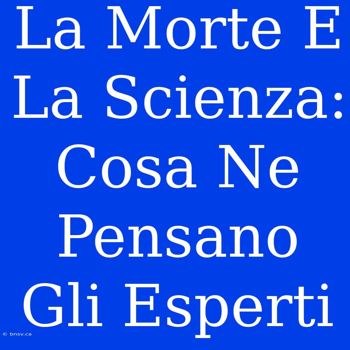 La Morte E La Scienza: Cosa Ne Pensano Gli Esperti