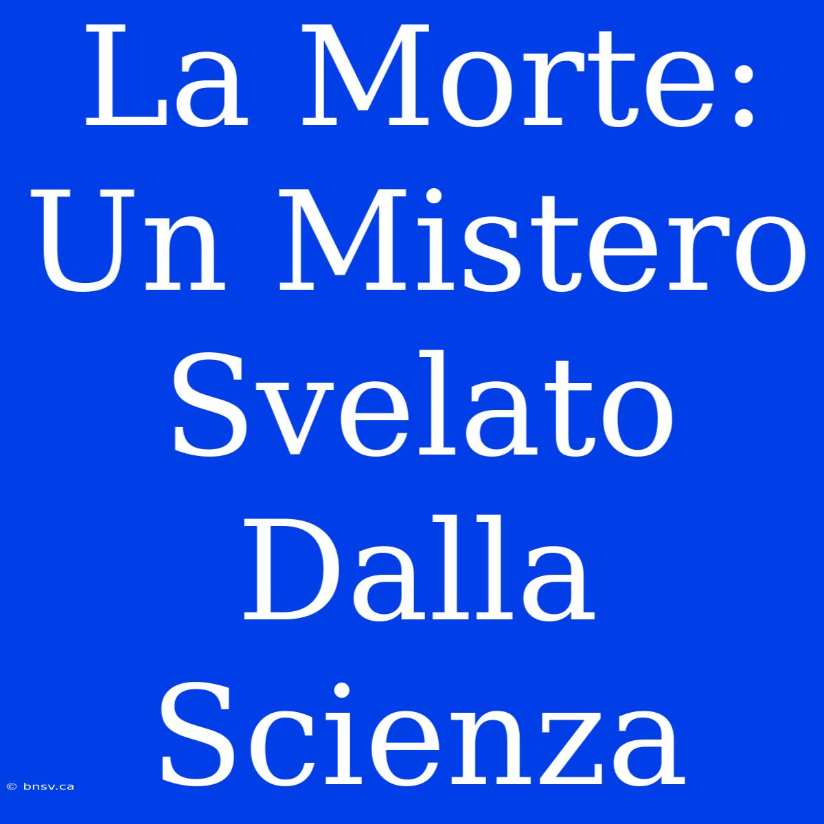 La Morte: Un Mistero Svelato Dalla Scienza