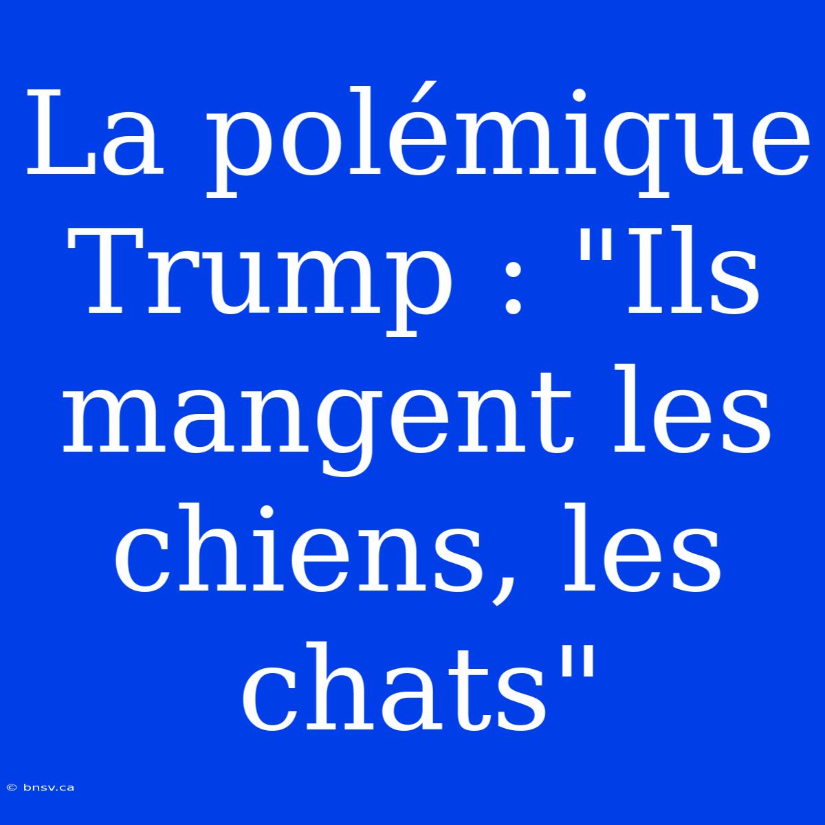 La Polémique Trump : 