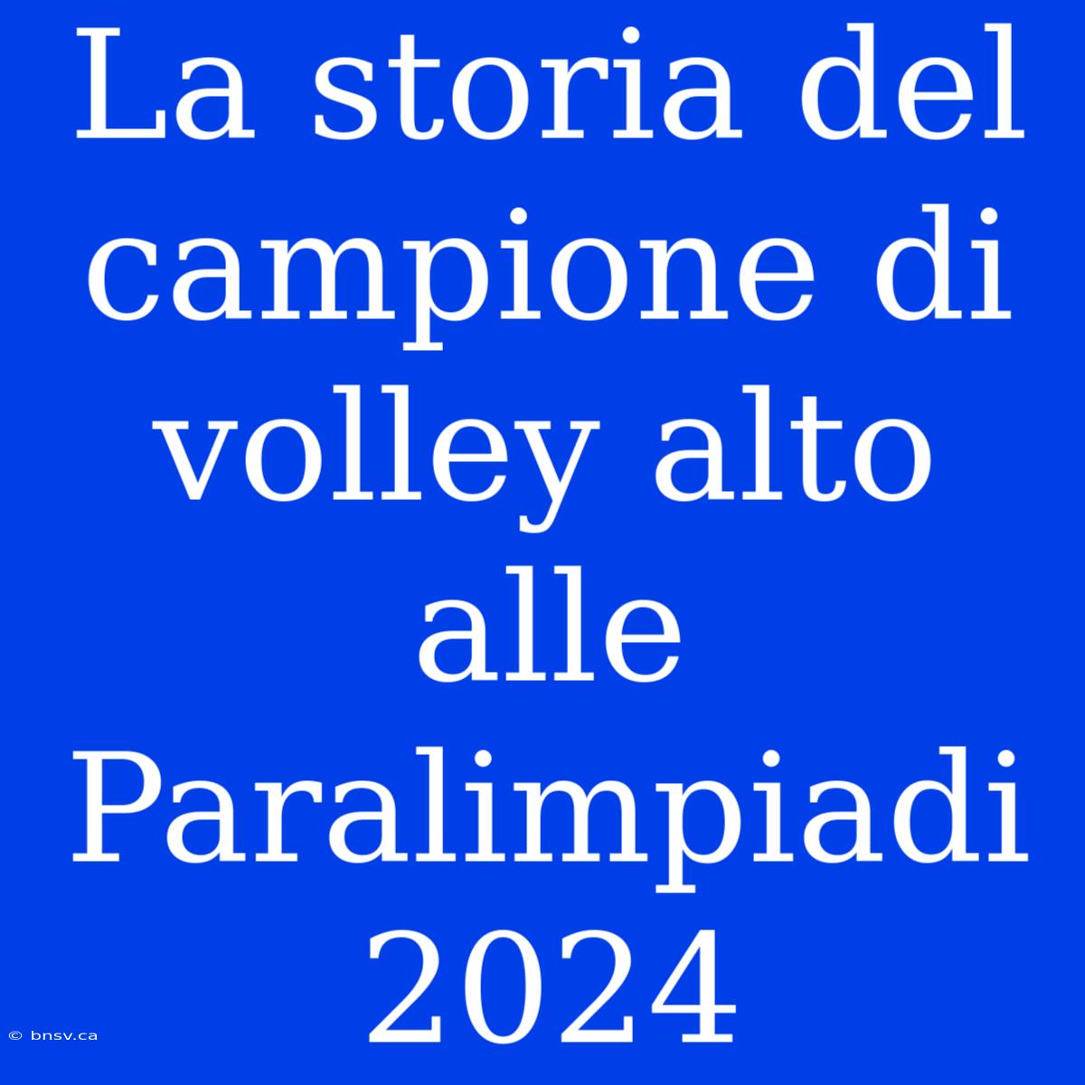 La Storia Del Campione Di Volley Alto Alle Paralimpiadi 2024