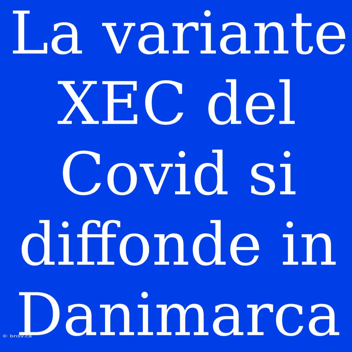 La Variante XEC Del Covid Si Diffonde In Danimarca