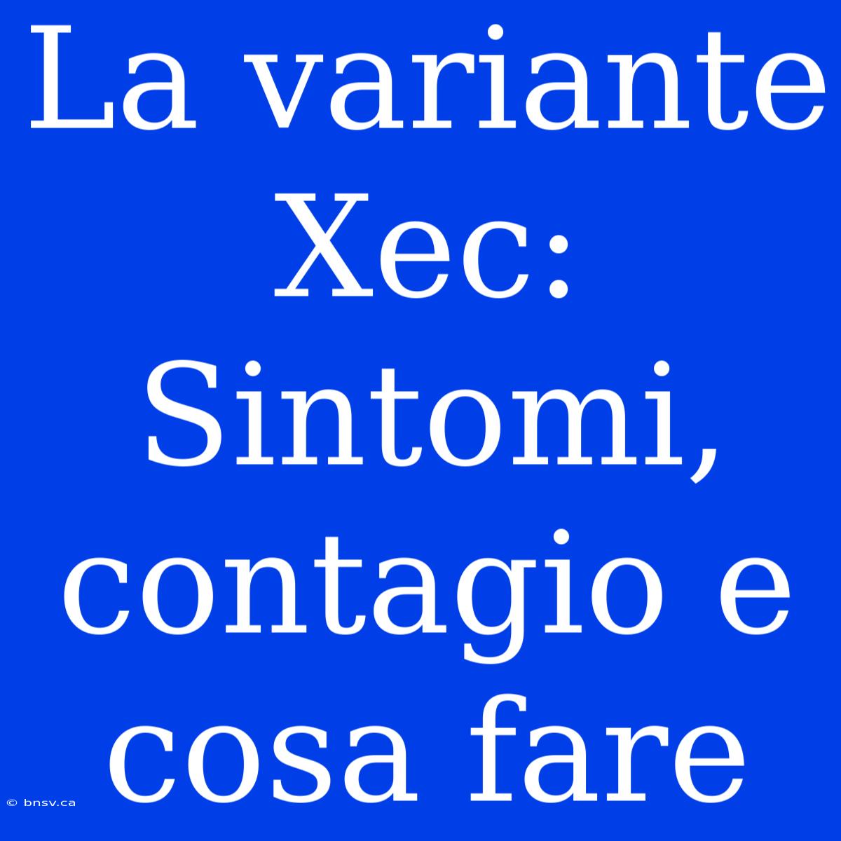 La Variante Xec: Sintomi, Contagio E Cosa Fare